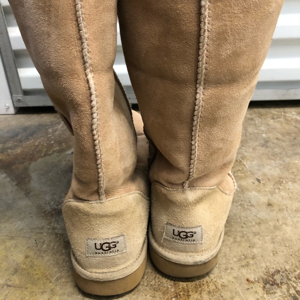 Tall Ugg boots (size 11).